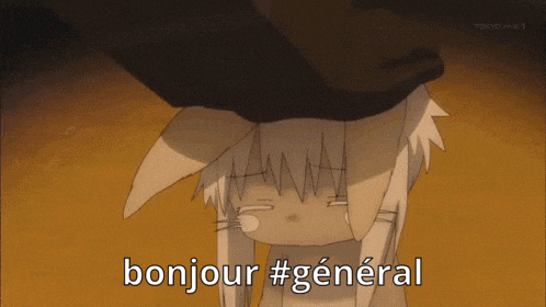 a picture of a cat with the words bonjour # general on it