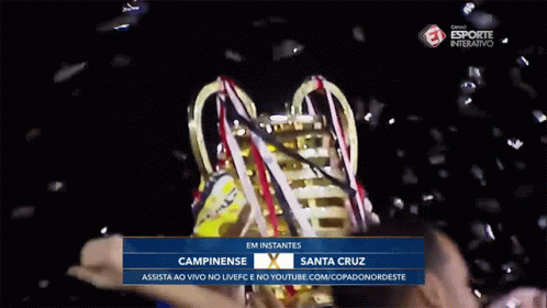Trophy Campinense GIF - Trophy Campinense Santa Cruz GIFs
