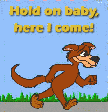 Hold On Here I Come GIF - Hold On Here I Come Coyote GIFs