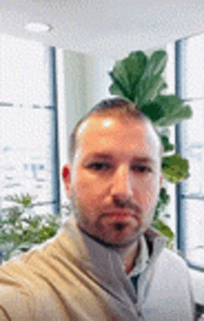 a man with a beard is taking a selfie in front of a window with a plant on his head .