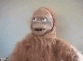 Amy The Orangutan That Look GIF - Amy The Orangutan That Look Spades GIFs