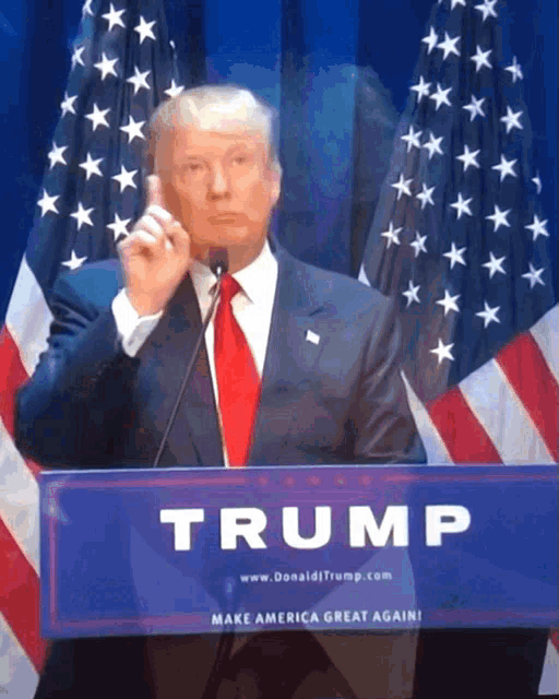donald trump is giving a speech at a make america great again podium