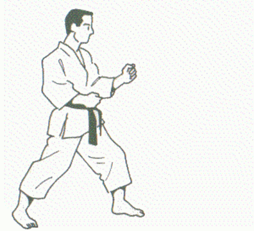 Karate Kick GIF - Karate Kick Mae GIFs