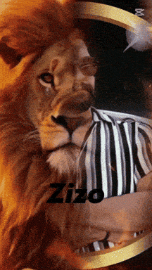 a man in a striped shirt is hugging a lion with the name zizo on the bottom right