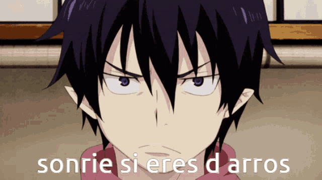 a picture of a boy with the words sonrie si eres d arros written below him