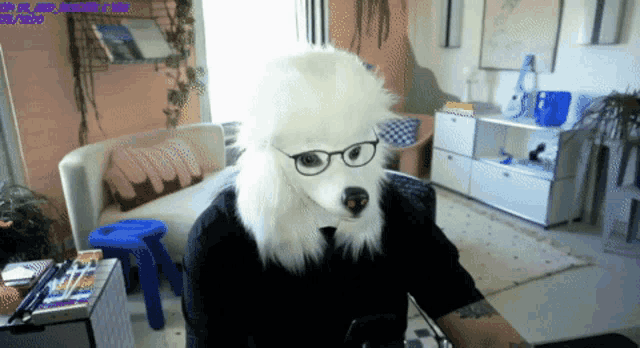 a person wearing a poodle mask and glasses is sitting in a living room
