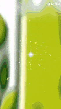 a green background with the letter l visible