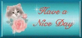 Have A Nice Day Kitten GIF - Have A Nice Day Kitten Glitter GIFs