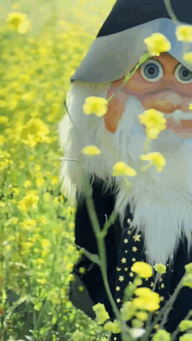 a gnome in a field of yellow flowers looks at the camera