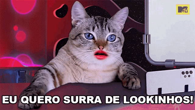 a cat with red lipstick on its lips and the words eu quero surra de lookinhos on the bottom
