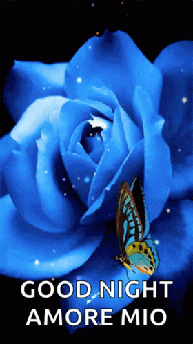 Blue Rose Butterfly GIF - Blue Rose Butterfly Flower GIFs