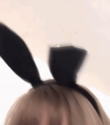 Bunny Ears Lol GIF - Bunny Ears Lol GIFs