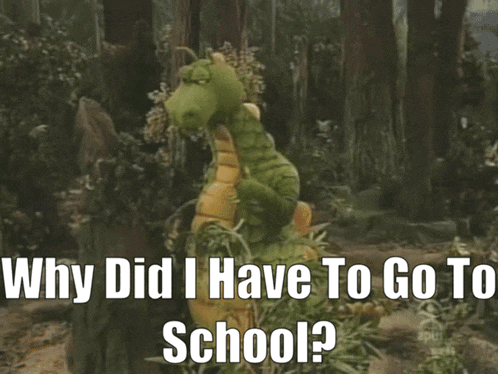 why did i have to go to school written on a picture of a dragon