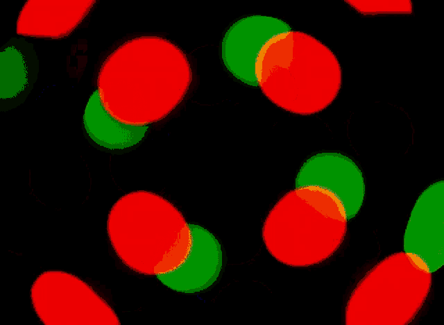 a bunch of red and orange circles are on a black background