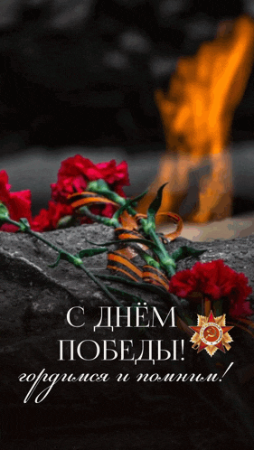 a greeting card in a foreign language with red carnations and a fire in the background