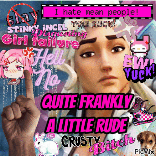 a picture of a girl with the words " i hate mean people " on it