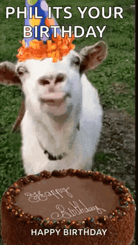 a goat wearing a birthday hat is standing in front of a cake .
