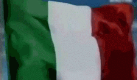 Forza Italia Sforza Italia Lassativo Partito Politico GIF - Forza Italia Laxtive Purgative GIFs