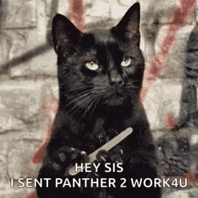 a black cat is holding a nail file in its paw .