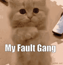 My Fault Gang GIF - My Fault Gang GIFs