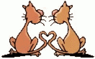 two cats are making a heart shape with their tail .