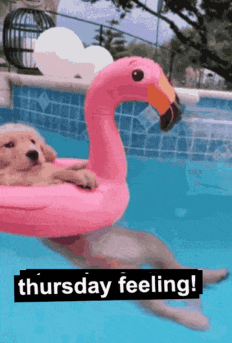Thursday Feeling GIF - Thursday Feeling GIFs