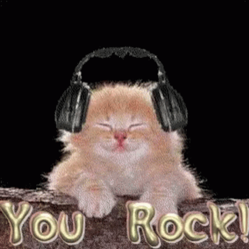 You Rock It Cat GIF - You Rock It Cat Music GIFs