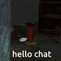 a cat is peeking out from behind a wall and says hello chat .