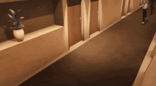 a man is walking down a hallway with a potted plant on the shelf .