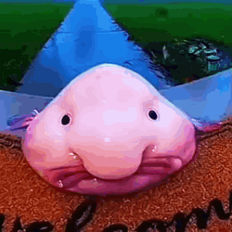 a pink fish with a large nose is sitting on a welcome mat .