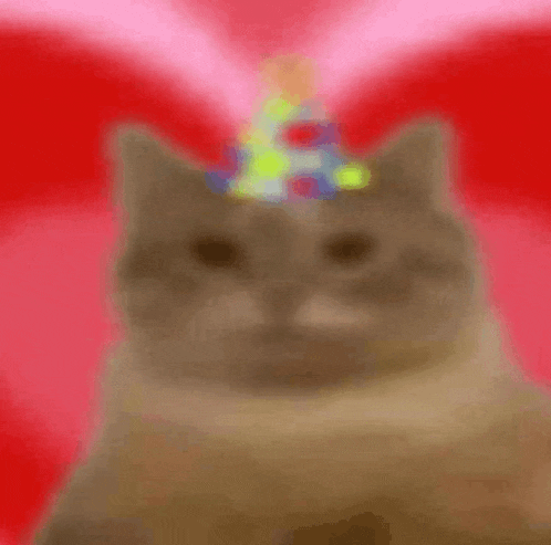 a cat wearing a party hat is sitting in front of a pink background .