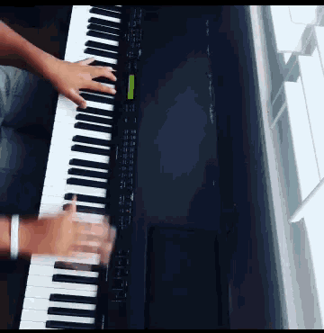 Piano Playing GIF