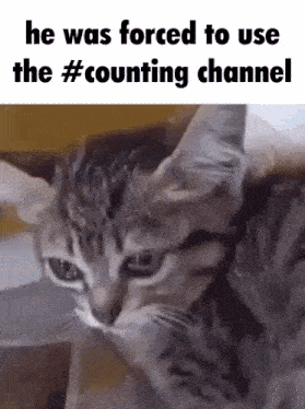 Discord Counting GIF - Discord Counting Channel GIFs
