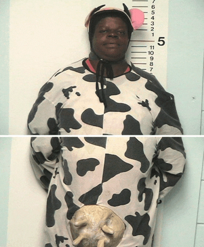 a woman in a cow costume is standing in front of a ruler with the number 5 written on it