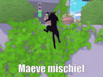 Hi Maeve Maeve Mischief GIF - Hi Maeve Maeve Mischief GIFs