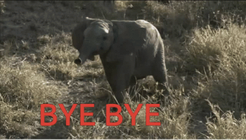 Bye Bye Goodbye GIF - Bye Bye Goodbye Elephant GIFs