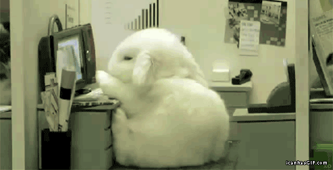 Adorable Bunny GIF - Tiredface GIFs