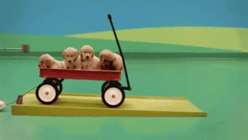 a group of puppies are in a red wagon on a green surface