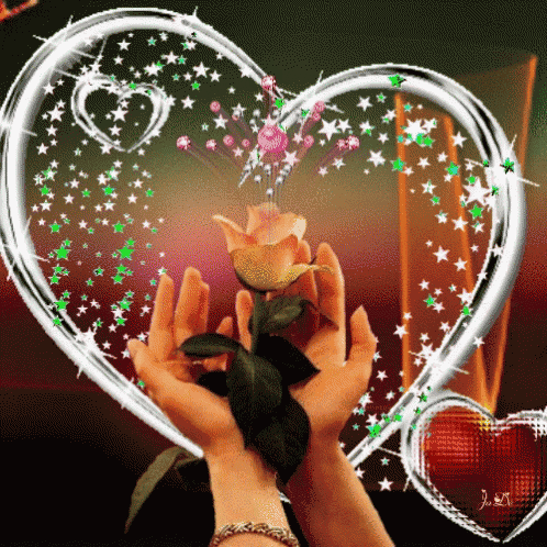 two hands holding a rose in front of a heart
