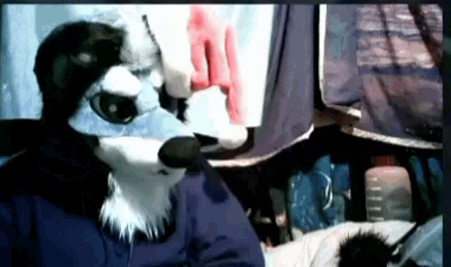 a person wearing a furry wolf mask is sitting in a chair .