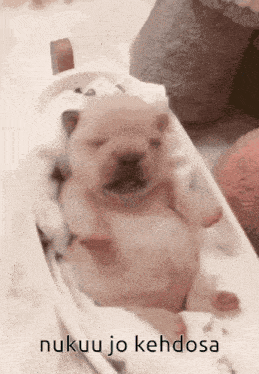 a picture of a puppy with the words nukuu jo kehdosa on the bottom