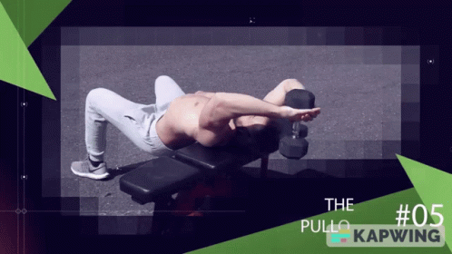 Db Pullover Dumbbell Workout GIF - Db Pullover Dumbbell Workout GIFs