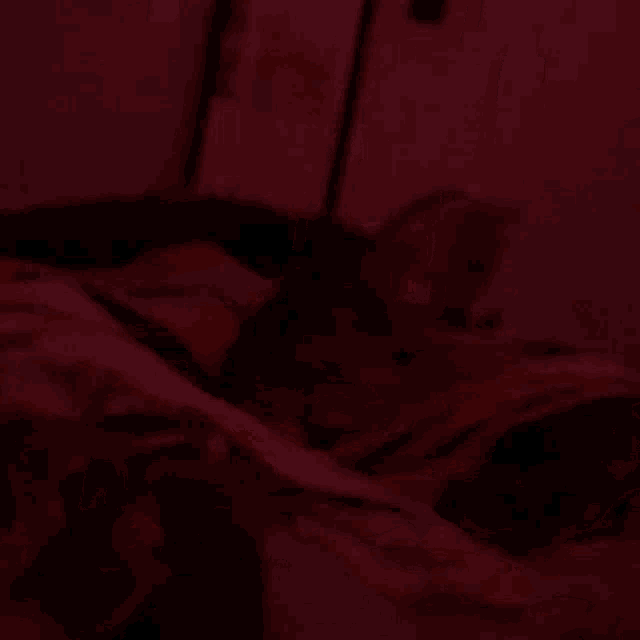 a person is laying on a bed in a dark room with a red light on the wall .