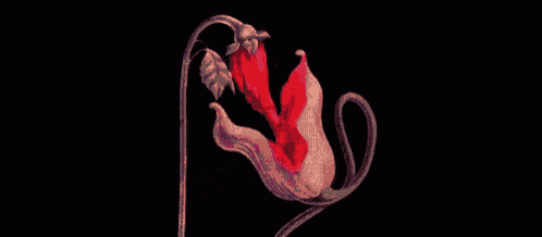 a red skull with wings and claws on a black background
