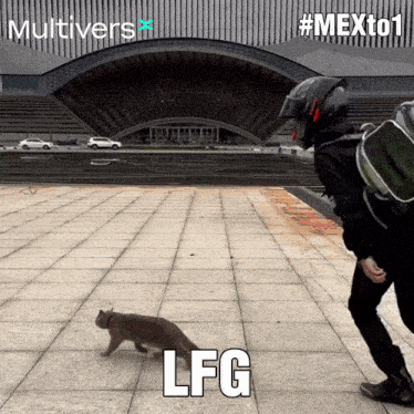 Lfg Let'S Go GIF - Lfg Let'S Go Multiversx GIFs