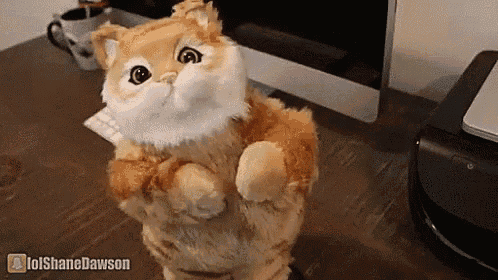 a stuffed cat is standing on its hind legs in front of a computer monitor .