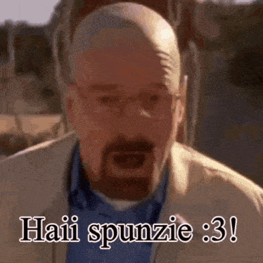 a man with glasses and a beard is saying haii spunzie 3 !