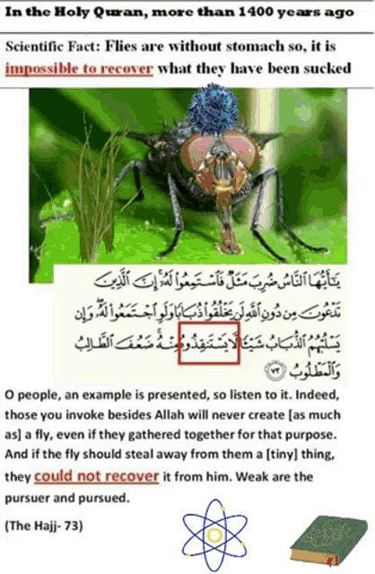 a page that says in the holy quran flies are without stomach so it is impossible to recover what they have been succked