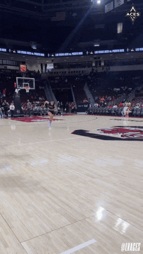 a basketball court with the word aces on the bottom