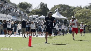 a football player wearing a number 2 jersey is running with the ball
